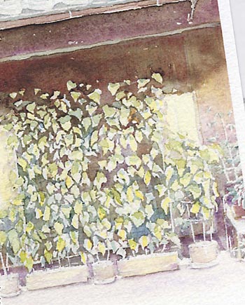 夏の町屋 [ グリーンカーテン ]( 京都 町屋 蔓 水彩画 風景画 )★当店オリジナル★