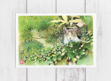 那覇 首里の猫　( ねこの絵葉書 絵はがき ポストカード 水彩画 風景画 沖縄 首里 生垣から顔を出す猫 )