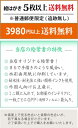 六角堂 [ 京都の桜 ]( 春 さくら 紅 枝垂桜 華道発祥の地 烏丸御池 池坊 和風 水彩画 風景画 )★当店オリジナル★