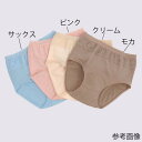 ショーツ 吸水速乾性の高い生地 介護パンツ 吸水 速乾 消臭 竹虎 軽失禁用ショーツ ソフラピレンショーツ モカ ピンク サックス 失禁 尿漏れ 下着 女性 婦人 介護用 高齢者