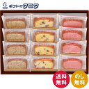 アーモンドリッチパウンド 12個入 AP12 00187 送料無料 井桁堂 フルーツ アールグレイ ストロベリー パウンドケーキ ギフト 内祝 御祝 御礼 快気...