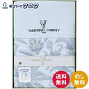 ヴァレンティノ・クリスティー ウォッシャブル肌掛けふとん VCF-68 送料無料 ポリエステル 綿 家庭 洗濯 ギフト 内祝 御祝 御礼 快気祝 御供 粗供養 ...