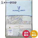 ヴァレンティノ・クリスティー ウォッシャブル羽毛肌掛けふとん VCF-128 送料無料 ポリエステル 綿 ダウン フェザー 家庭 洗濯 ギフト 内祝 御祝 御礼...