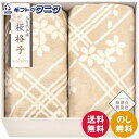 大自然本舗〜桜格子〜 肌にやさしい自然色のシルク入り綿毛布(毛羽部分)2P SBN85300 送料無料 日本製 綿 カラードコットン シルク ポリエステル 無漂...
