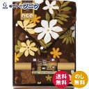 クロスロード あったかアイデア&厳選素材 羽織れるホック付き ブランケット 2435 送料無料 ポリエステル ひざ掛け 肩掛け 巻スカート レジャー用 ギフト 内祝 御祝 御礼 快気祝 御供 粗供養 香典返し 彼岸 お中元 暑中お見舞い お歳暮 お年賀 母の日 父の日 敬老の日
