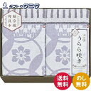 今治 うらら咲き タオルケット2P ITU66200 送料無料 日本製 綿100% 今治タオル 輪奈織 ギフト 内祝 御祝 御礼 快気祝 御供 粗供養 香典返し...