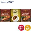 飛騨高山牧場 焼きハンバーグ&こだわりカレーセット BHF-BER 送料無料 焼きハンバーグ 野菜 カレー ギフト 内祝 御祝 御礼 快気祝 御供 粗供養 香典...