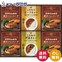 飛騨高山牧場 焼きハンバーグ&こだわりカレーセット BHF-EJR 送料無料 焼きハンバーグ ビーフ 野菜 カレー ギフト 内祝 御祝 御礼 快気祝 御供 粗供...
