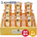 北辰フーズ 夕張メロンゼリーエスト KW-9B 送料無料 北海道 夕張メロン 果汁 完熟感 芳醇 ギフト 内祝 御祝 御礼 快気祝 御供 粗供養 香典返し 彼岸 お中元 暑中お見舞い お歳暮 お年賀 母の日 父の日 敬老の日