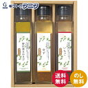 環境栽培 ドレッシングセット CN-3D 送料無料 ゆず 野沢菜&わさび いちご ひまわり油 サラダ ギフト 内祝 御祝 御礼 快気祝 御供 粗供養 香典返し ...
