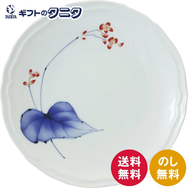  ײ 23.5cmץ졼 49168-1JAUP9 ̵ 滮  ͭľ Żҥ󥸲   ե     涡 ƶ ŵ֤  渵 椪  ǯ   Ϸ