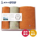 タイムレスロイヤル雲羽(くう) 愛媛今治 タオルセット 17100 送料無料 バスタオル フェイスタオル タオルハンカチ 無撚糸 高吸水性 綿100% ギフト ...