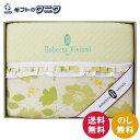 ロベルタ・ビビアーニ シルク混肌掛けふとん RVF-882 送料無料 綿 ポリエステル ギフト 彼岸 内祝 快気祝 御礼 御供 粗供養 香典返し 敬老の日 お中元 暑中お見舞い お歳暮 お年賀 母の日 父の日 敬老の日
