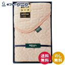リーガル シンカーパイル敷パット RGH-35004 送料無料 ポリエステル 綿 ギフト 彼岸 内祝 快気祝 御礼 御供 粗供養 香典返し お中元 暑中お見舞い...