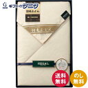 リーガル 羽毛肌掛けふとん RGH-41502 送料無料 日本製 ダウン フェザー 綿 ポリエステル ギフト 彼岸 内祝 快気祝 御礼 御供 粗供養 香典返し ...