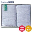 モンブラン 洗える羽毛肌掛ふとん2P 5422102 送料無料 ポリエステル ダウン フェザー ギフト 彼岸 内祝 快気祝 御礼 御供 粗供養 香典返し お中元...
