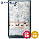 高島ちぢみ 清涼 掛布団 TK0715 送料無料 日本製 綿 ポリエステル ギフト 内祝 御祝 御礼 快気祝 御供 粗供養 香典返し 彼岸 お中元 暑中お見舞い...