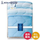 COOL FIT 冷感&オールシーズンパイル 肌掛け 1450 送料無料 クール 冷感素材 寝具 ポリエステル 綿 洗濯可 リバーシブル ギフト 内祝 御祝 御...