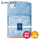 COOL FIT 冷感&オールシーズンパイル 肌布団 1460 送料無料 クール 冷感素材 寝具 ポリエステル ナイロン 綿 洗濯可 リバーシブル ギフト 内祝...