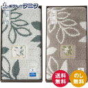 抗菌加工 ハロテイスト大判玄関マット 095476GR グリーン 095469BW ブラウン 送料無料 日本製 アクリル 防臭 吸水 速乾 すべりにくい加工 東レ セベリス ギフト 内祝 御祝 御礼 快気祝 御供 粗供養 香典返し 彼岸 お中元 暑中お見舞い お歳暮 お年賀 母の日 父の日 敬老の日