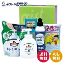 キレイキレイ&マジカバラエティセット KMG-25B 送料無料 ライオン CHARMYMagica除菌+ キレイキレイ薬用液体ハンドソープ NANOXonePR...