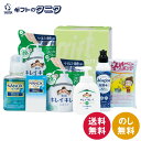 キレイキレイ&マジカバラエティセット KMG-50C 送料無料 ライオン CHARMYMagica除菌+ キレイキレイ薬用液体ハンドソープ NANOXonePRO スポンジ 台所 洗濯 洗剤 ギフト 彼岸 内祝 御礼 御供 お中元 暑中お見舞い お歳暮 お年賀 母の日 父の日(3)
