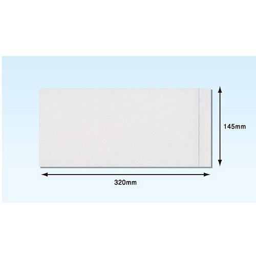 パピルスカンパニー デリバリーパック チェーンストア統一伝票サイズ用 PA-007T 145mm×320mm［2000枚入]