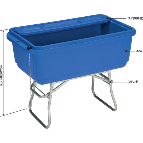 ���áʥ��󥳡��ˡ����󥹥ȥå���2�ʥ�����ɡ��ե�1�硦�ӿ����աˡ�210003-03��