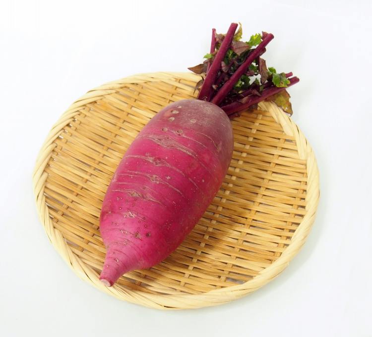 赤大根　 1本