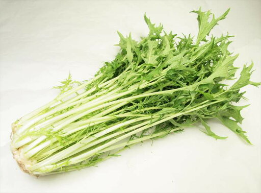 有機水菜 150g 有機水菜 150g