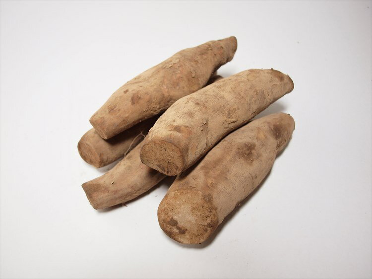 ヤーコン　1kg