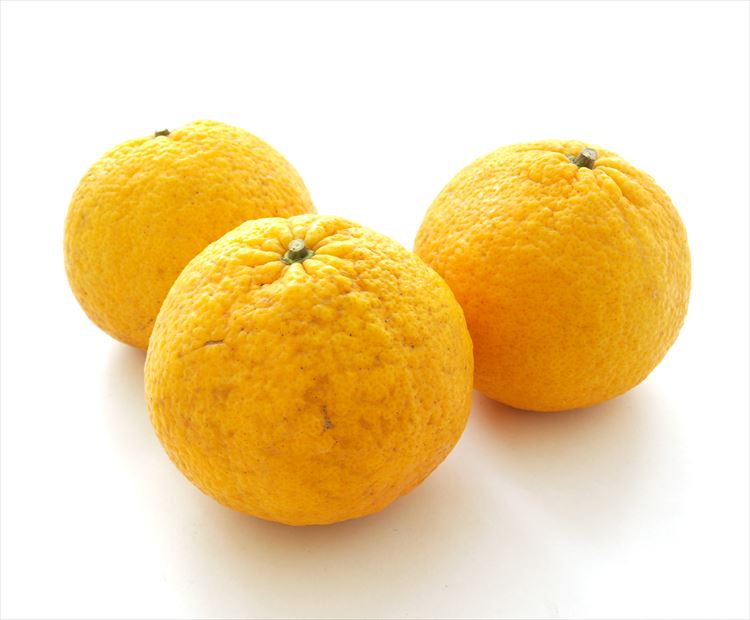 【愛媛　無農薬】 甘みと酸味を楽しめる柑橘です。無農薬栽培のため見た目はあまりよくありませんが、しっかりとした味わいがあります。 ※総個数は目安の数で、実際には異なる場合がございます