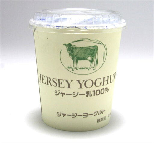 タカハシ乳業 ジャージーヨーグルト 405g タカハシ乳業 ジャージーヨーグルト 405g