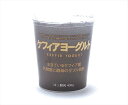 タカハシ乳業 ケフィアヨーグルト 405g