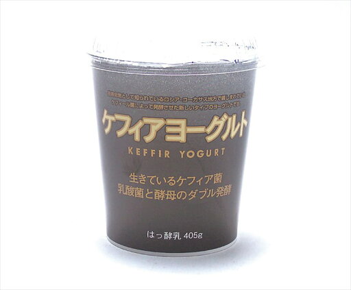 タカハシ乳業 ケフィアヨーグルト 405g タカハシ乳業 ケフィアヨーグルト 405g