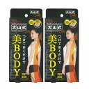 『ネコポス送料無料』「健康足指パッド」大山式ボディメイクパッド デイリー(Body Make Pad Daily) (旧 プレミアム PREMIUM) x2個【ネコポス】【smtb-s】(4)