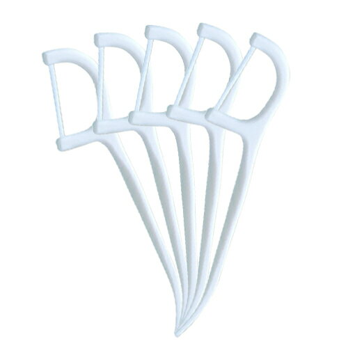 dental floss japanβ