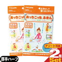 『ネコポス送料無料』テイジン(TEIJIN) あっちこっちふきん 厚手版 ハーフ (33x24cm) x 2枚セット (全2色より選択) - ふき取り性を兼ね備...