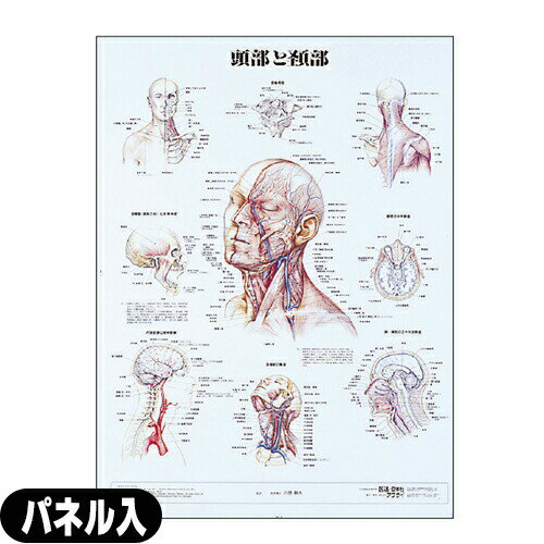  pl(SR-109B)ysmtb-sz