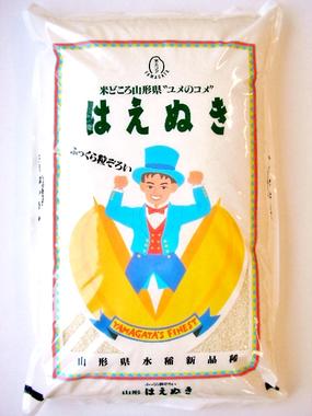 令和2年山形県河北町産 はえぬき 白米 10kg【送料無料】(沖縄、離島は別途2000円加算)