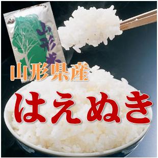 令和1年山形県産はえぬき 1等 玄米 30kg 【送料無料】(沖縄、離島は別途2000円加算)