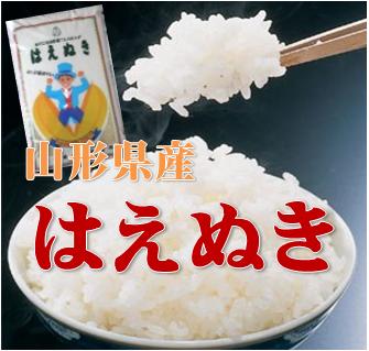 令和2年山形県河北町産 はえぬき 白米 10kg（5kgx2）【送料無料】(沖縄、離...