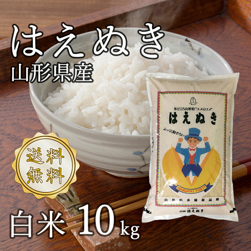 令和5年山形県産 はえぬき 白米 10kg【送料無料】(沖縄、離島は別途2000円加算)