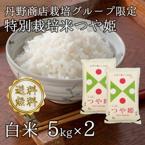 令和5年山形県河北町産 つや姫 白米 10kg（5kgx2） 【送料無料】(沖縄、離島は別途2000円加算)