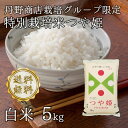 令和5年山形県河北町産 つや姫 白米5kg【送料無料】(沖縄、離島は別途2000円加算)