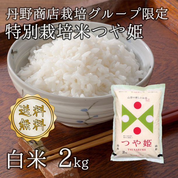 令和5年山形県河北町産 つや姫 白米 2kg【送料無料】(沖