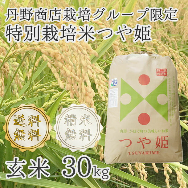 【新米令和1年産】【山形県認証検査袋入】【精米無料】山形県河北町産 つや姫 1等 玄...