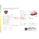 グレーディングレポート ( 鑑定書 )