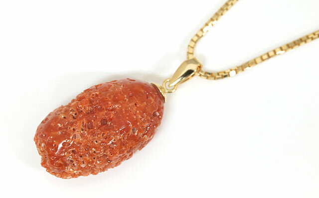 ムシクイ珊瑚 K18YG ペンダントトップ ( 虫食いサンゴ / 18金イエローゴールド ) 【 2月28日誕生日石 3月誕生石】 (ネックレスチェーンは別売り) 【 送料無料 】