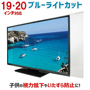 【全品5%OFFクーポン★4/24 20時～4/30 09:59まで】ブルーライトカット 液晶テレビ保護パネル 19インチ 20インチ 19型 20型 【2mm厚】【カット率44.73％】【液晶テレビ 保護パネル 保護フィルム 液晶 テレビ 保護 カバー パソコン PC デスクトップPC】 1920DB